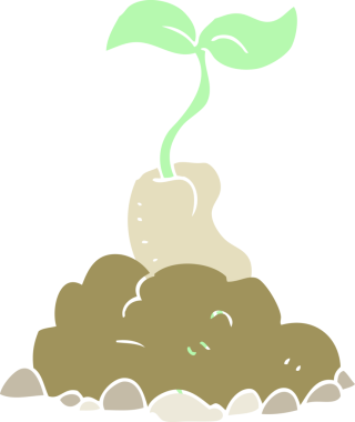 Bir insan tarafından çizilen filizlenen tohumun düz renk çizimi