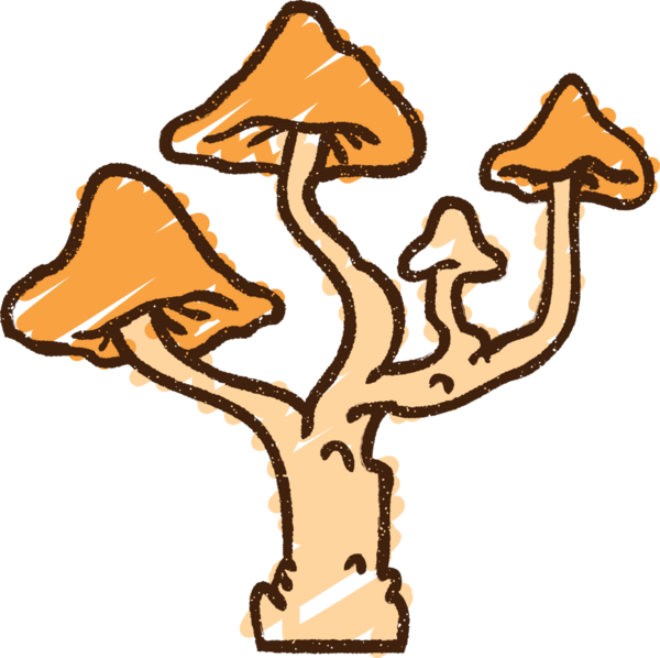 Bir insan tarafından çizilmiş mantar tebeşiri.