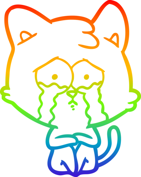 Bir insan tarafından çizilmiş ağlayan kedi karikatürünün çizimi.