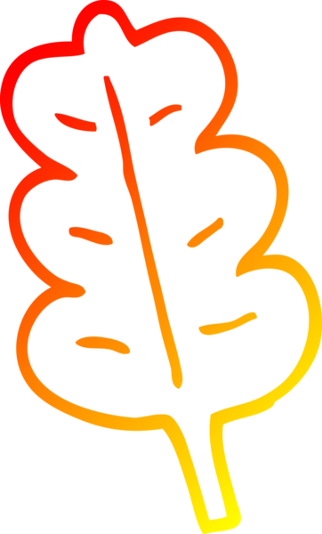 Bir insan tarafından çizilen meşe yaprağının sıcak çizgi çizimi