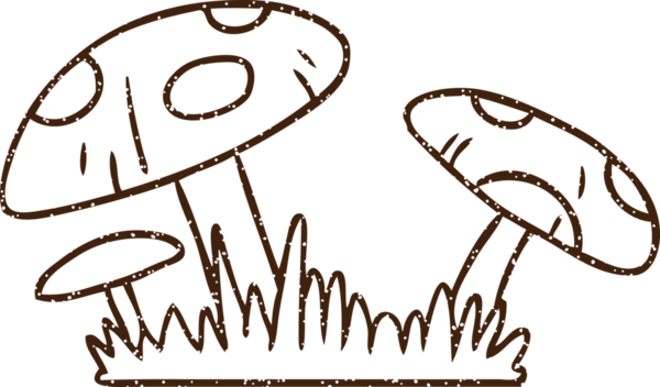 Bir insan tarafından çizilmiş mantar kömürü.