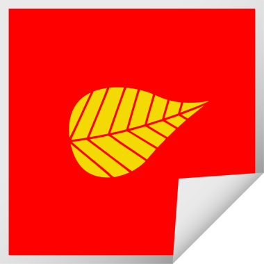 Bir insan tarafından çizilmiş yeşil bir yaprağın kare kabuğu çıkartması.