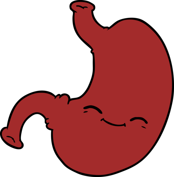 Bir insan tarafından çizilmiş midem.