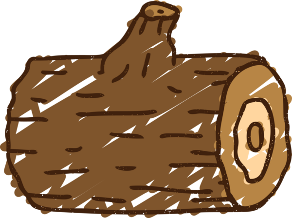 Bir insan tarafından çizilen Günlük Kaydı Çizimi