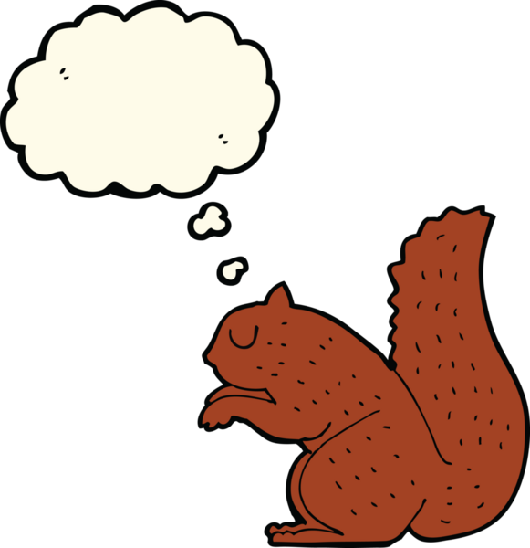 Bir insan tarafından çizilmiş düşünce baloncuklu bir sincap.