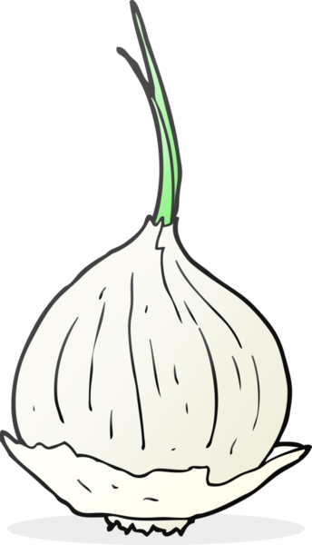 Bir insan tarafından çizilmiş serbest çizim soğan.