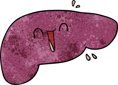 Bir insan tarafından çizilmiş karaciğer.