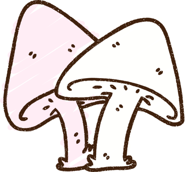 Bir insan tarafından çizilmiş mantar tebeşiri.