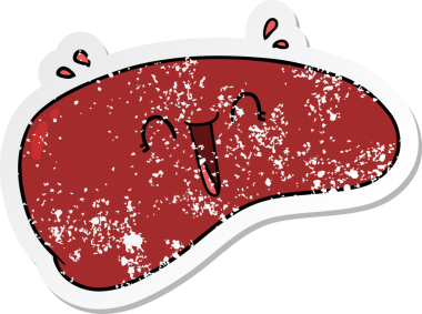 Bir insan tarafından çizilmiş sağlıklı bir karaciğerin sıkıntılı çıkartması.