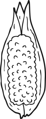 bir insan tarafından çizilmiş mısırlar