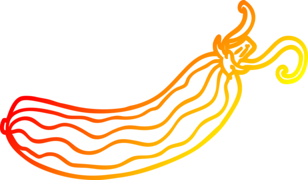 Bir insan tarafından çizilmiş bir salatalığın sıcak çizgi çizimi