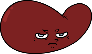 bir insan tarafından çizilmiş safra kesesi.