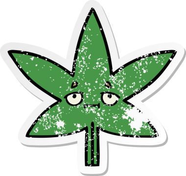 Bir insan tarafından çizilmiş marihuana yaprağının sıkıntılı çıkartması.