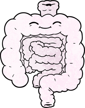 Bir insan tarafından çizilmiş karikatür bağırsakları.