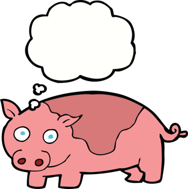 Bir insan tarafından çizilmiş düşünce balonlu çizgi film domuzu.
