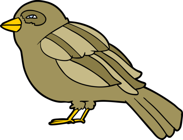 Bir insan tarafından çizilmiş çizgi film kuşu.