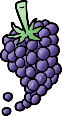 Bir insan tarafından çizilmiş üzüm demeti.