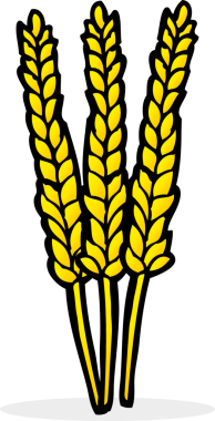 bir insan tarafından çizilmiş mısırlar