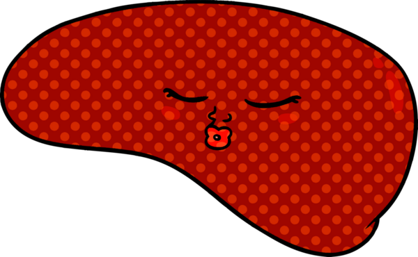 Bir insan tarafından çizilmiş karaciğer.