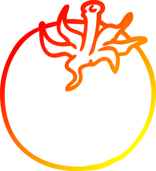 Bir insan tarafından çizilmiş taze domatesin sıcak gradyan çizgisi