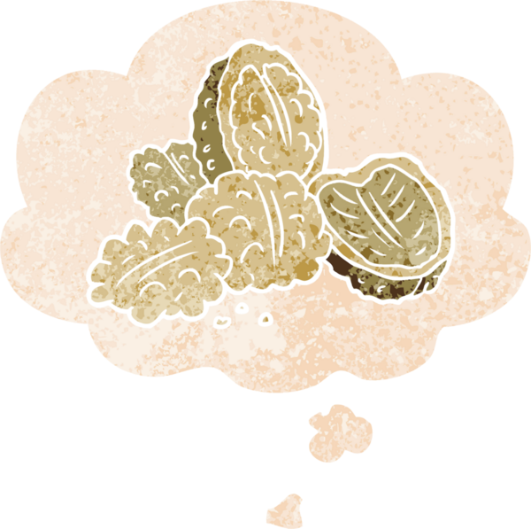 Düşünce baloncuklu karikatür cevizleri grunge sıkıntılı retro desen bir insan tarafından çizilmiş