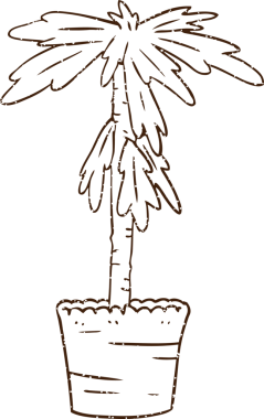 Ev Bitkisi Kömürü Bir insan tarafından çizilmiş