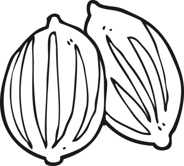 Bir insan tarafından çizilmiş siyah beyaz karikatür tohumları.