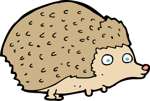 Bir insan tarafından çizilmiş kirpi çizgi filmi.