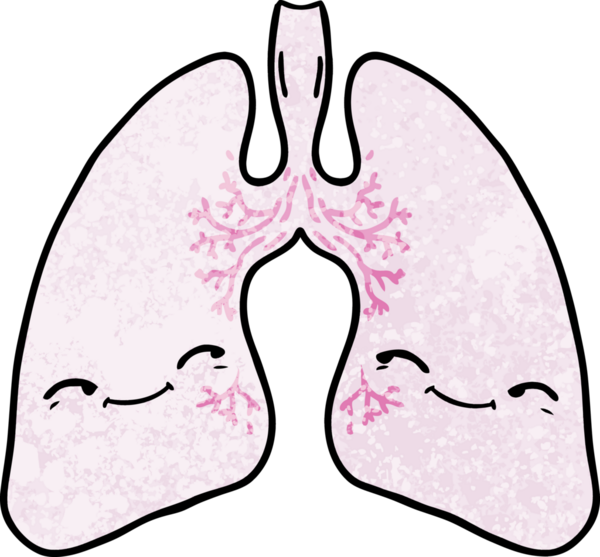 Bir insan tarafından çizilmiş karikatür ciğerleri.