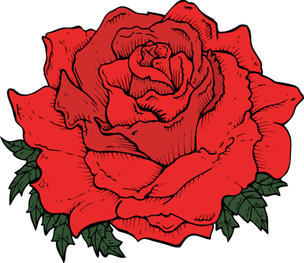 Bir insan tarafından çizilmiş çizgi film gülü