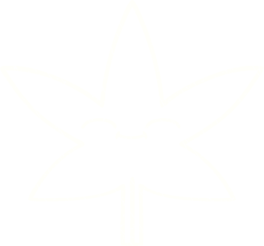 Bir insan tarafından çizilen Yaprak Tebeşiri