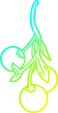 Bir insan tarafından çizilmiş bir ökseotu çizimi