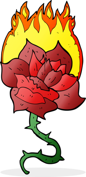 Bir insan tarafından çizilmiş alevli gül dövmesi.