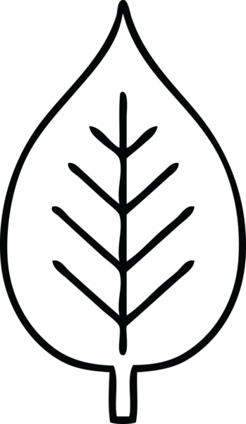 Bir insan tarafından çizilmiş yeşil bir yaprağın çizgi çizimi