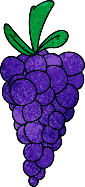 Bir insan tarafından çizilmiş garip bir üzüm demeti.