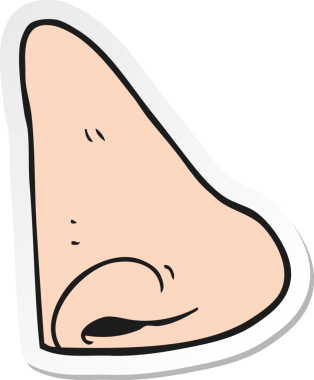 Bir insan tarafından çizilmiş insan burnunun çıkartması.