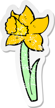 Bir insan tarafından çizilmiş karikatür nergis desenli bir yapıştırma.