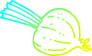 Bir insan tarafından çizilmiş taze pancarın soğuk çizgi çizimi