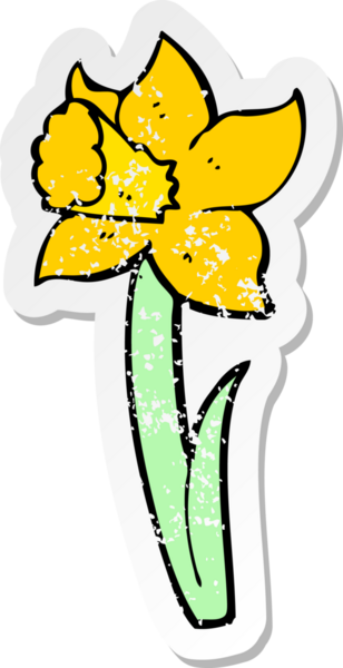 Bir insan tarafından çizilmiş karikatür nergis desenli bir yapıştırma.