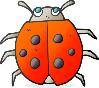 Bir insan tarafından çizilmiş serbest çizim uğur böceği