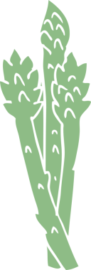 bir insan tarafından çizilmiş karalama kuşkonmaz bitkisi