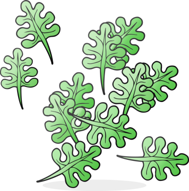 Bir insan tarafından çizilmiş serbest çizgi film yaprakları