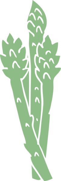 bir insan tarafından çizilmiş karalama kuşkonmaz bitkisi