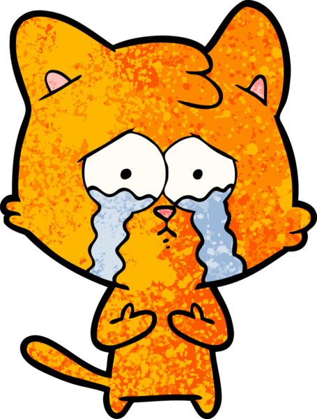 Bir insan tarafından çizilmiş ağlayan kedi çizgi filmi.