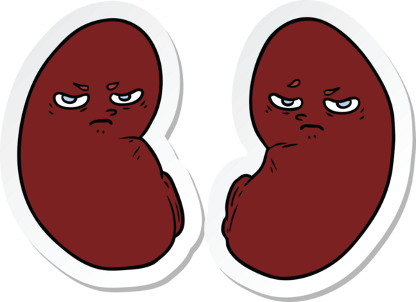 Bir insan tarafından çizilmiş tahriş edilmiş böbrek çıkartması.