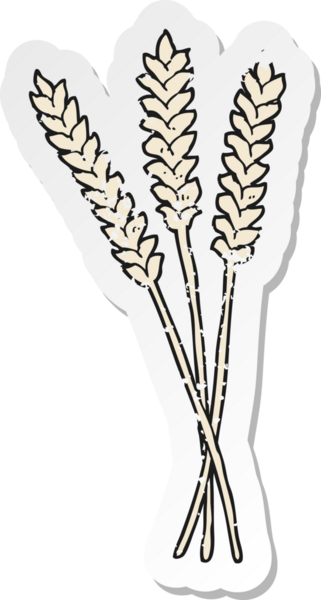 retro distressed sticker of a cartoon wheat drawn by a human