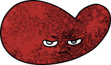 bir insan tarafından çizilmiş safra kesesi.