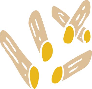 Bir insan tarafından çizilmiş karalama makarna şekilleri.