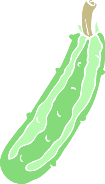 Bir insan tarafından çizilmiş kabağın düz renk çizimi