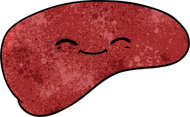 Bir insan tarafından çizilmiş karaciğer.